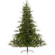 Serbian spruce 1604tips green