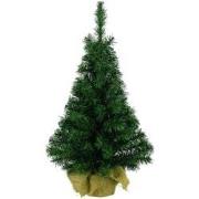 5 stuks - Mini kerstboom tafelboom Imperial miniboom h45 cm groen