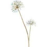 Kunstbloem allium holografic cream, 78 cm