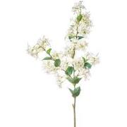 Kunst jasmin branch white, 115 cm