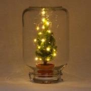 URBANJNGL - Easyplant - Kerst - Mini Kerstboom met licht - Plantenterr...