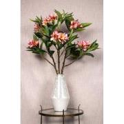 PTMD Plumeria Kunstbloem - 72 x 25 x 110 cm  - Kunststof - Roze