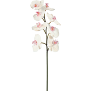 Kunstwit roze phalaenopsis orchidee stam H60