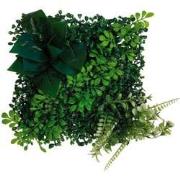 Repto Aquadistri plant achterwand mat 25x25 cm 2