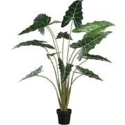 PTMD Leaves Plant Green Alocasia Plant In Pot L