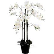 Mica Decorations orchidee in plastic pot creme maat in cm: 35x35x117