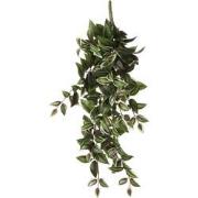 Mica Decorations Tradescantia Kunst Hangplant - L15 x B20 x H54 cm - G...