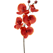 Kunstphalaenopsis orchidee steel rood H47