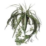 Mica Decorations chlorophytum groen in pot stan grijs d11,5 - 45x45