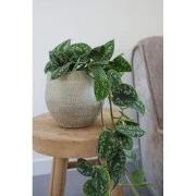 HS Potterie Taupe Pot Tokio - H36