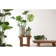 HS Potterie Delhi Pot Groen - 22