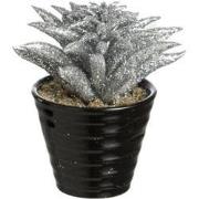 Kunstmatige glitter dudleya vetplant in zilveren pot H15