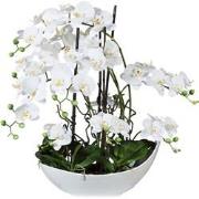 Kopu® Kunstbloem Volle Orchidee 68 cm Wit met Schaal - Phalenopsis