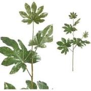 PTMD Leaves Plant Fatasia Kunsttak - 50 x 33 x 104 cm - Groen