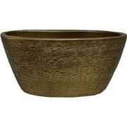 HS Potterie Osaka Pot Goud - 14