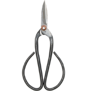 URBANJNGL - Bonsai snoeischaar Groot - 19 cm - Bonsai gereedschap