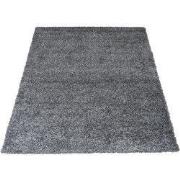 Vloerkleed Buddy Antraciet 140 x 200 cm