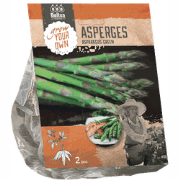 3 stuks - Asparagus Groen