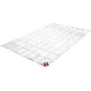 Brinkhaus Dekbed Classica Warm 220 g/m2 - 200 x 220 cm