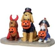 Trick or dog treats