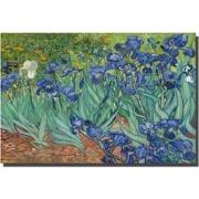 Fine Asianliving Schilderij Wall Art Canvas Print 120x80cm Iris Tuin