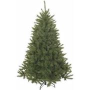 Triumph Tree Kunstkerstboom Bristlecone Fir - 163x163x260cm - PVC - Gr...