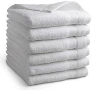 DoubleDry Handdoeken 50 x 100 cm – set van 6 – Hotelkwaliteit 500 g/m2...