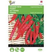 2 stuks - Peper Cayenne, Spaanse Lange Rode