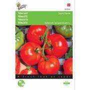 2 stuks - Tomaten St. Pierre Grote Vollegrondse