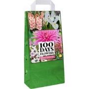 2 stuks - Bloembollen Bulb Garden Pink 100 bollen