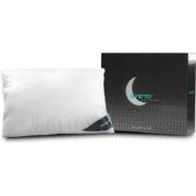 Lanotte® - Hoofdkussen 100% Kapok 60x70 cm