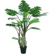 Kunstplant Monstera 4 stam 170 cm