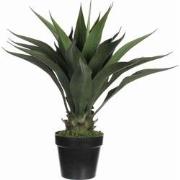 Mica Decorations agave in pot maat in cm: 60 x 50