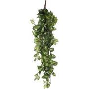 Mica Decorations fittonia hangend groen maat in cm: 80 x 30 x 15