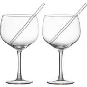 set/2 ginglas 65 cl m/rietjes in gb Tonic