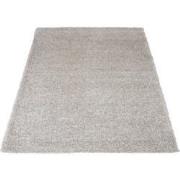 Vloerkleed Buddy Beige 240 x 340 cm