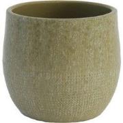 HS Potterie Lugo Groen - 14