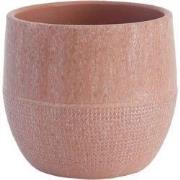 HS Potterie Lugo Roze - 16