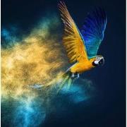 Fine Asianliving Vliegende Papagaai Digitale Print 95x95cm Acryl Glas