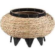 PTMD Mand Williams - 35x35x20 cm - Zeegras - Zwart