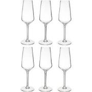 Champagneglazen Kailua Flutes set van 6 stuks inhoud 23 cl