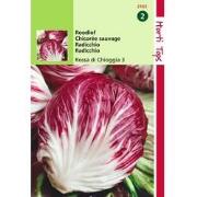 2 stuks - Radicchio Rosso Di Chioggia Palla Rossa 4