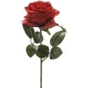 Roos simone rood 45 cm