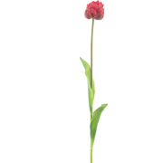 PSO Tulip spray Paris Sally beauty 79 cm kunstbloem