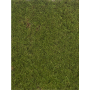 Moss mat green 50x50 cm kunstbloem