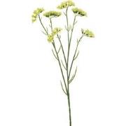 Statice spray green 67 cm Emerald