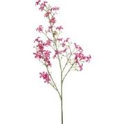 Saxifraga spray fuchsia 93 cm Emerald