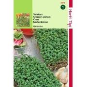 2 stuks - Tuinkers Gewone