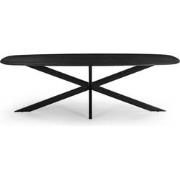 Eettafel Deens Ovaal - Zwart - 180cm - Eettafel Jordan