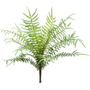 Fern blechnum bush 25 cm kunstbloem zijde nepbloem